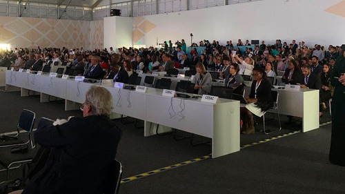 COP17 